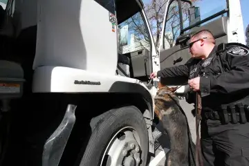 FPS Explosive Detection Canine Team sweeps truck