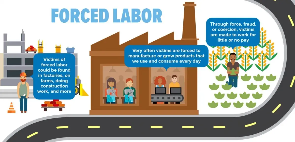 Forced Labor (blue text on white background). Victims of forced labor could be found in factories, or farms, doing construction work, and more (graphic of a man in a hard hat standing in front of a construction site). Very often victims are forced to manufacture or grow products that we use and consume every day (image of a warehouse where a man and woman are sewing fabric, and in a room next to them a man and woman are working on packing up materials). Through force, fraud, or coercion, victims are made to work for little or no pay (image of man dressed in long pants and a shirt standing in a field of produce holding vegetables)..